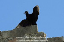 Mexiko | Yucatán Halbinsel | Bundesstaat Campeche | Edzná |