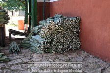 Mexiko | Yucatán Halbinsel | Bundesstaat Yucatán | Hacienda  Sotuta de Peón |