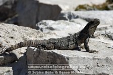 Mexiko | Yucatán Halbinsel | Bundesstaat Quintana Roo | Tulum |