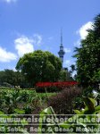 Neuseeland | Nordinsel | Auckland | Auckland | Albert Park |