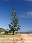 Neuseeland | Nordinsel | Northland |