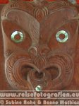 Neuseeland | Nordinsel | Bay of Islands | Northland | Paihia | Waitangi |