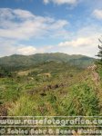Neuseeland | Nordinsel | Waikato | Coromandel-Halbinsel |