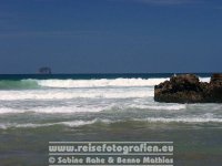 Neuseeland | Nordinsel | Waikato | Coromandel-Halbinsel | Hahei Beach |