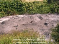 Neuseeland | Nordinsel | Bay of Plenty | Rotorua | Whakarewarewa |