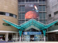 Neuseeland | Nordinsel | Greater Wellington | Wellington | Te Papa Tongarewa |