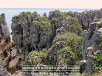 Neuseeland | Südinsel | West Coast | Pancake Rocks |