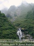 Neuseeland | Südinsel | West Coast | Westland-Nationalpark |