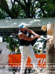 Neuseeland | Südinsel | Otago | Dunedin | Dunedin Summer Festival |