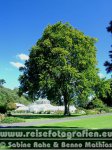 Neuseeland | Südinsel | Otago | Dunedin | Botanischer Garten |