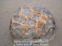 Neuseeland | Südinsel | Otago | Moeraki | Moeraki Boulders |