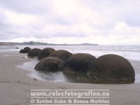 Neuseeland | Südinsel | Otago | Moeraki | Moeraki Boulders |