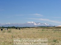 Neuseeland | Südinsel | Canterbury | Mount Cook &amp; Mount Tasman |