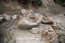 Neuseeland | Südinsel | Otago | Moeraki | Moeraki Boulders |