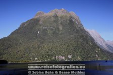 Neuseeland | Südinsel | Southland | Milford Sound |