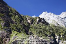 Neuseeland | Südinsel | Southland | Milford Sound |