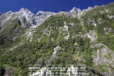 Neuseeland | Südinsel | Southland | Milford Sound |