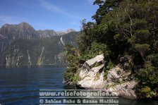 Neuseeland | Südinsel | Southland | Milford Sound |