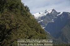 Neuseeland | Südinsel | Southland | Milford Sound |