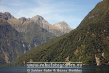 Neuseeland | Südinsel | Southland | Milford Sound |