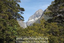 Neuseeland | Südinsel | Southland | Milford Sound |