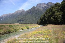 Neuseeland | Südinsel | Southland |