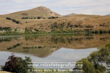 Neuseeland | Südinsel | Otago |