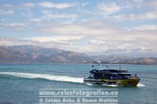 Neuseeland | Südinsel | Kaikoura | Kaikoura |