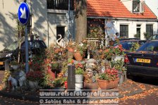 Niederlande | Nordholland | Haarlem |