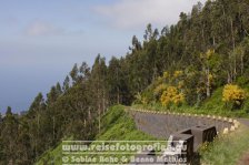 Portugal | Madeira | Ribeira Grande |