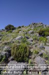 Portugal | Madeira | Pico Ruivo |