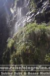 Portugal | Madeira | Risco Wasserfälle und &quot;die 25 Quellen&quot; |