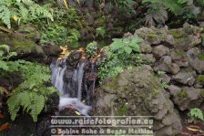 Portugal | Madeira | Monte | Monte Palace Tropical Garden |