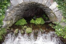 Portugal | Madeira | Monte | Monte Palace Tropical Garden |