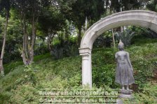 Portugal | Madeira | Monte | Monte Palace Tropical Garden |