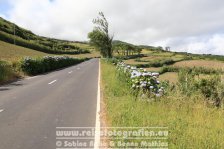 Portugal | Autonome Region Azoren | Faial | Cedros | EN 1-1a 