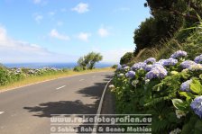 Portugal | Autonome Region Azoren | Faial | Cedros | EN 1-1a 