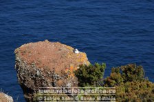 Portugal | Autonome Region Azoren | São Miguel | Várzea |