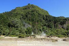 Portugal | Autonome Region Azoren | São Miguel | Furnas | Caldera de Pero Botelho |