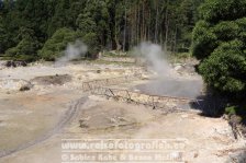 Portugal | Autonome Region Azoren | São Miguel | Furnas | Caldera de Pero Botelho |