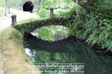 Portugal | Autonome Region Azoren | São Miguel | Furnas | Terra Nostra Garden |