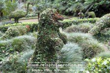 Portugal | Autonome Region Azoren | São Miguel | Furnas | Terra Nostra Garden |