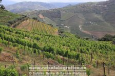 Portugal | Região Norte |