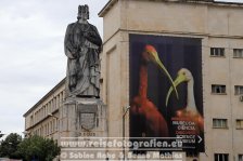 Portugal | Região Centro | Coimbra |