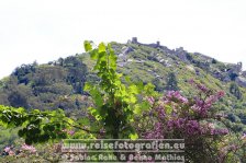 Portugal | Região de Lisboa | Sintra |