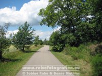 Elberadweg | Deutschland | Sachsen-Anhalt | Zwischen Torgau und Pretzsch |