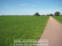 Elberadweg | Deutschland | Sachsen-Anhalt | Zwischen Lutherstadt Wittenberg und Coswig |