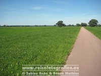 Elberadweg | Deutschland | Sachsen-Anhalt | Zwischen Lutherstadt Wittenberg und Coswig |