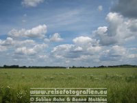 Elberadweg | Deutschland | Sachsen-Anhalt | Zwischen Dessau und Aken | Biosphärenreservat Mittelelbe |