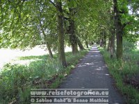 Elberadweg | Deutschland | Sachsen-Anhalt | Zwischen Dessau und Aken | Biosphärenreservat Mittelelbe |